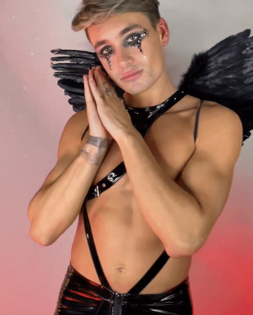 Dark Angel Men's Costume