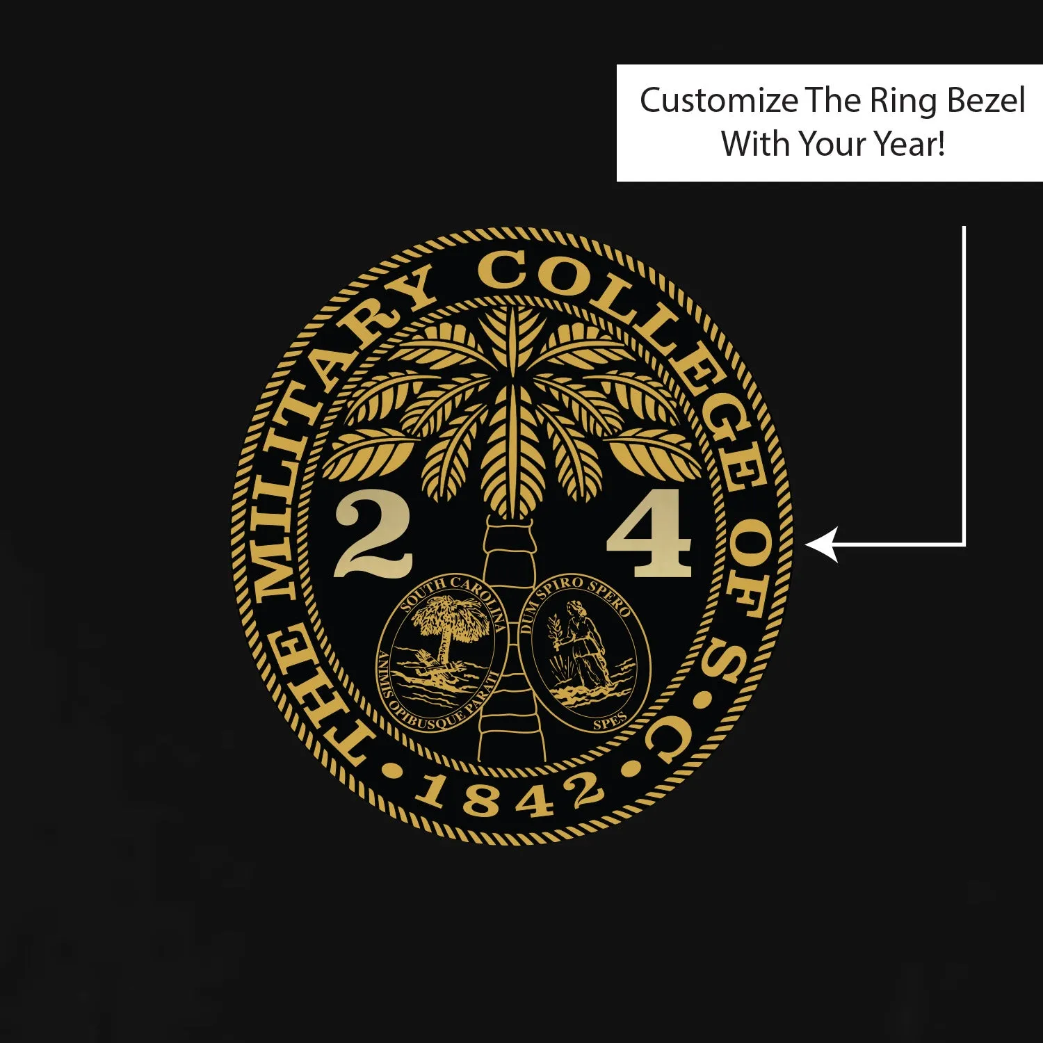 The Citadel,  Customizable (Your Year) Ring Bezel Design, Performance T-Shirt